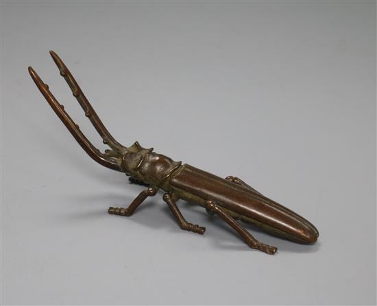 A bronze stag beetle length 12cm